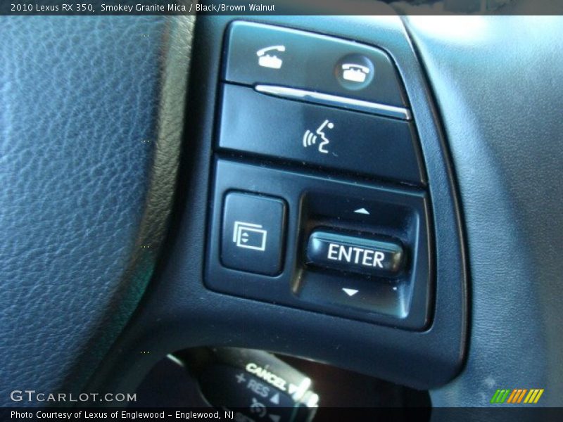 Smokey Granite Mica / Black/Brown Walnut 2010 Lexus RX 350