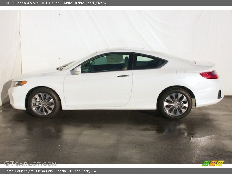  2014 Accord EX-L Coupe White Orchid Pearl