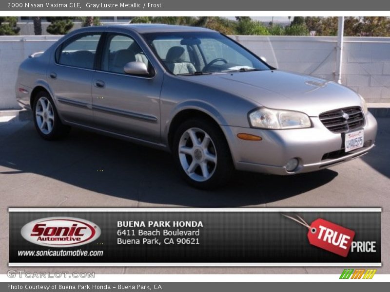Gray Lustre Metallic / Frost 2000 Nissan Maxima GLE