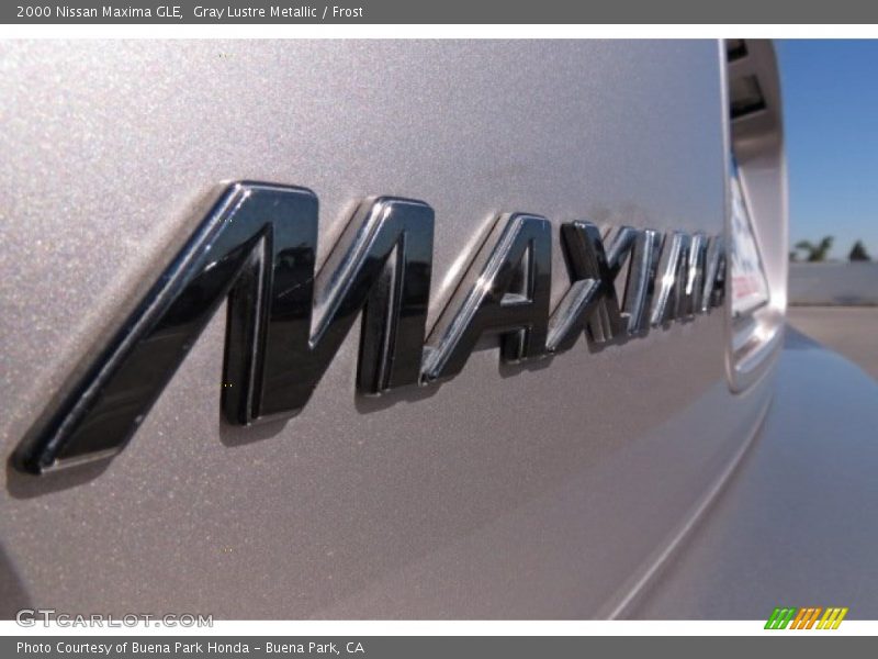 Gray Lustre Metallic / Frost 2000 Nissan Maxima GLE