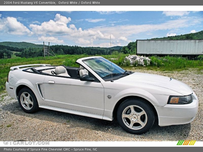  2004 Mustang V6 Convertible Oxford White
