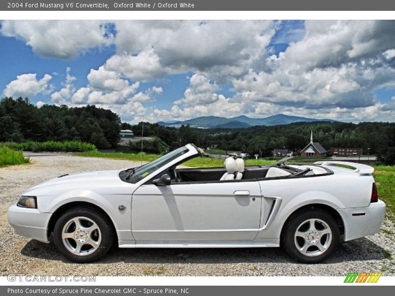  2004 Mustang V6 Convertible Oxford White