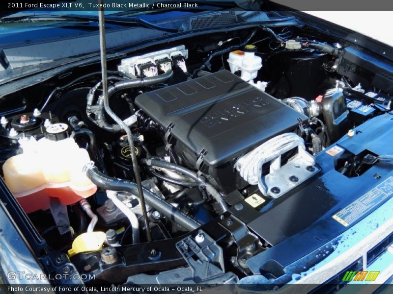 Tuxedo Black Metallic / Charcoal Black 2011 Ford Escape XLT V6