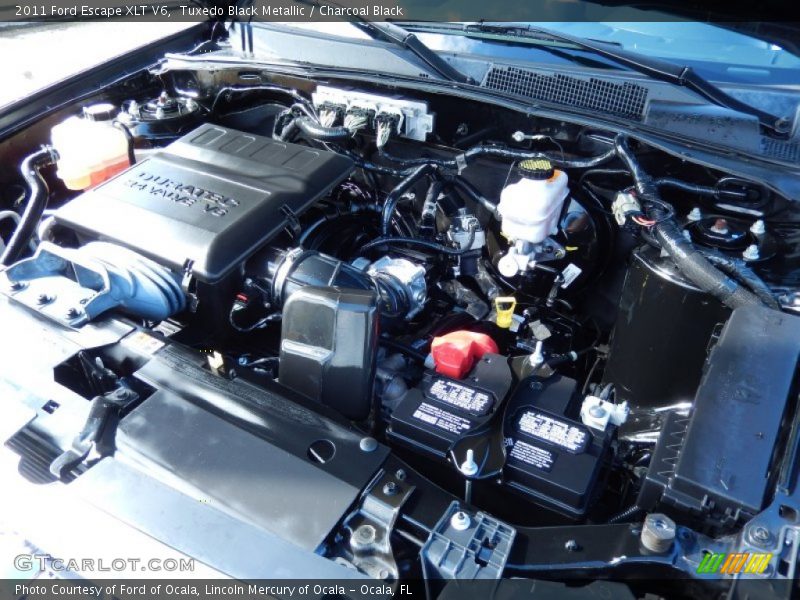 Tuxedo Black Metallic / Charcoal Black 2011 Ford Escape XLT V6