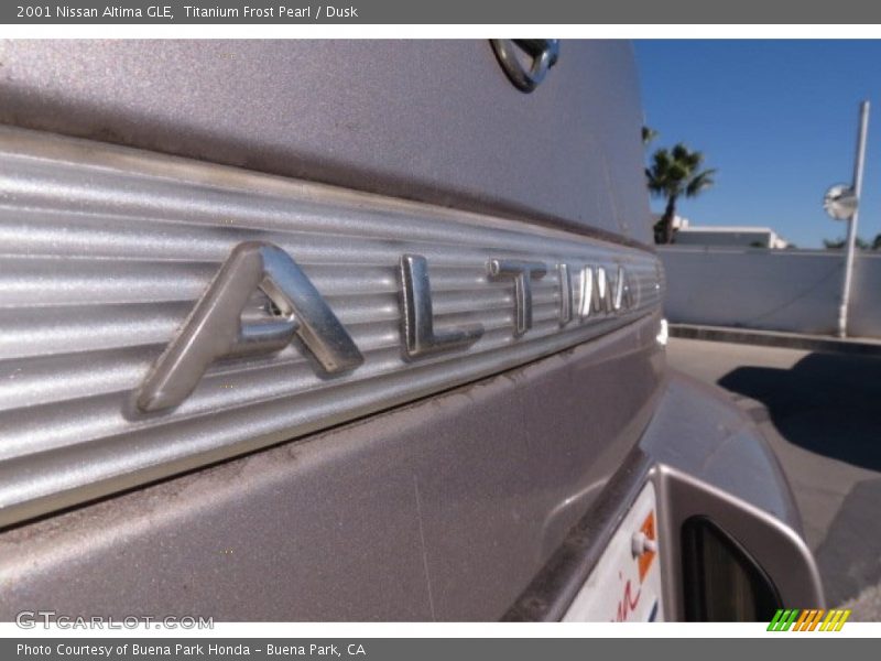 Titanium Frost Pearl / Dusk 2001 Nissan Altima GLE