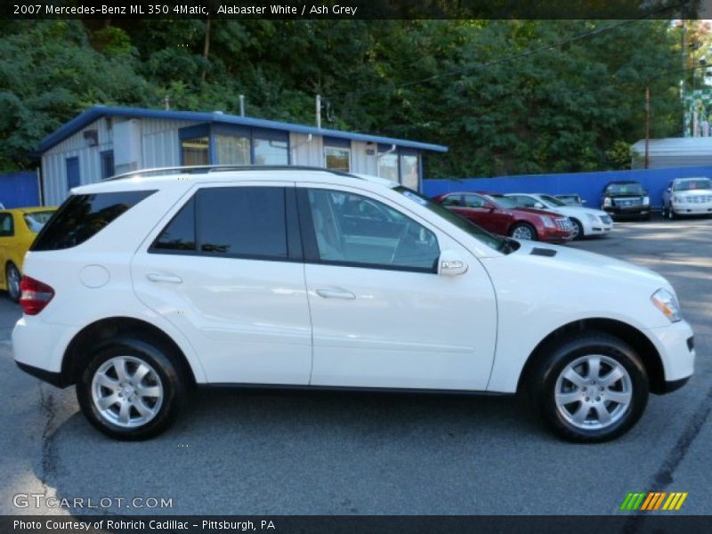 Alabaster White / Ash Grey 2007 Mercedes-Benz ML 350 4Matic