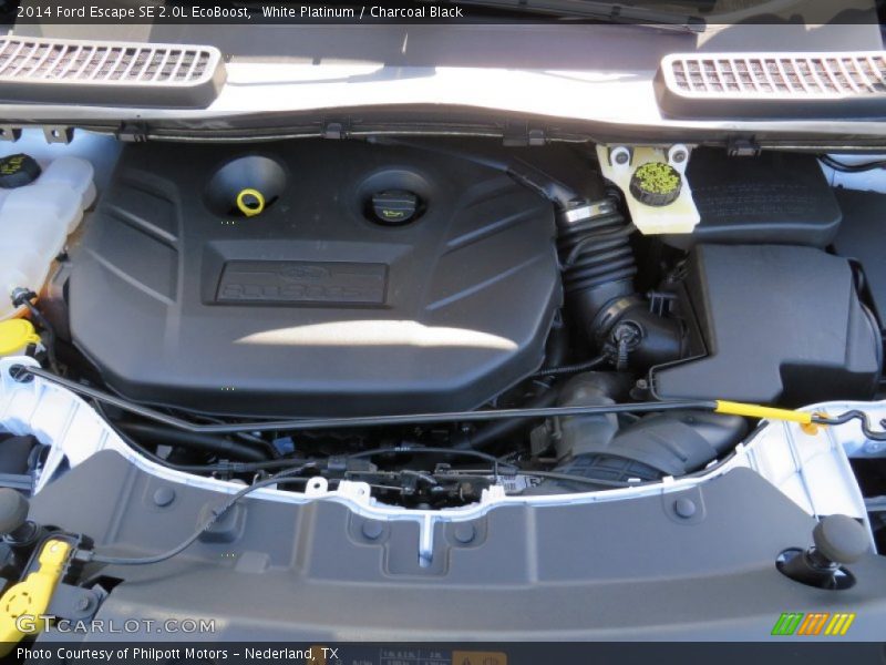 White Platinum / Charcoal Black 2014 Ford Escape SE 2.0L EcoBoost