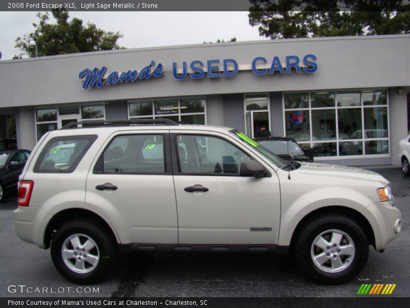 Light Sage Metallic / Stone 2008 Ford Escape XLS