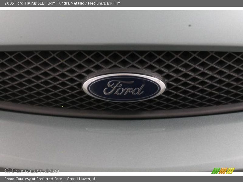 Light Tundra Metallic / Medium/Dark Flint 2005 Ford Taurus SEL