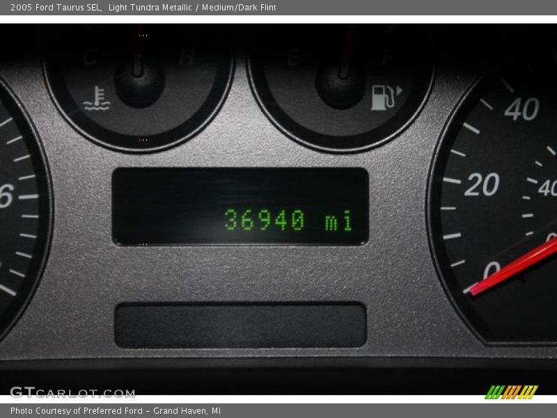 Light Tundra Metallic / Medium/Dark Flint 2005 Ford Taurus SEL