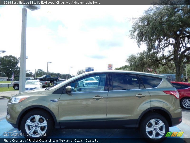 Ginger Ale / Medium Light Stone 2014 Ford Escape SE 1.6L EcoBoost