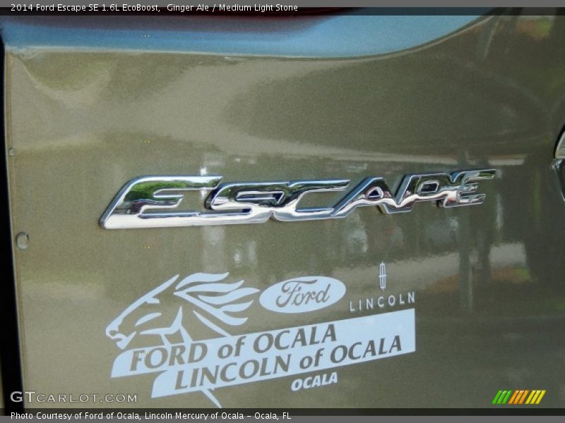 Ginger Ale / Medium Light Stone 2014 Ford Escape SE 1.6L EcoBoost