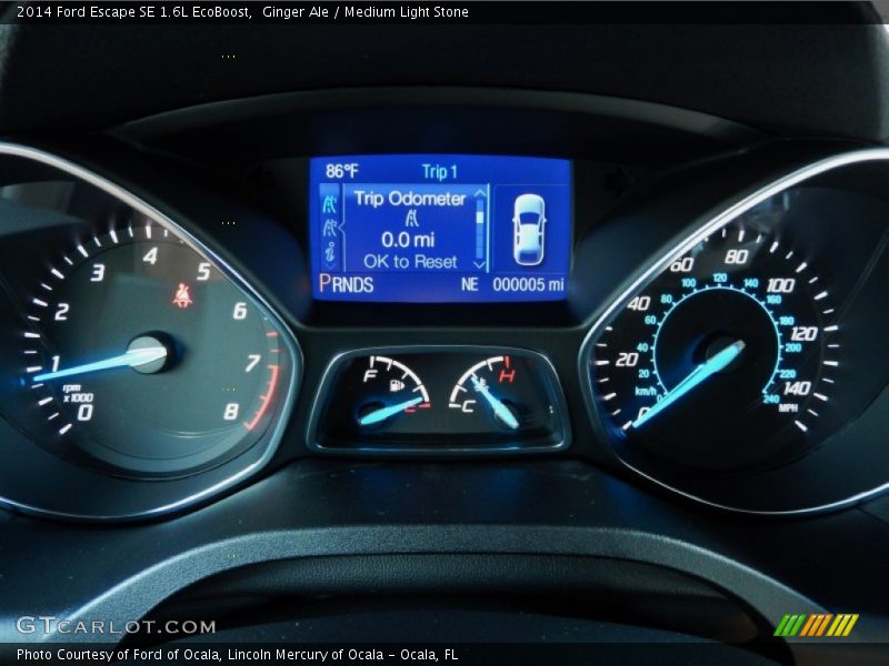Ginger Ale / Medium Light Stone 2014 Ford Escape SE 1.6L EcoBoost