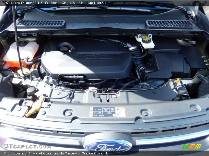 Ginger Ale / Medium Light Stone 2014 Ford Escape SE 1.6L EcoBoost