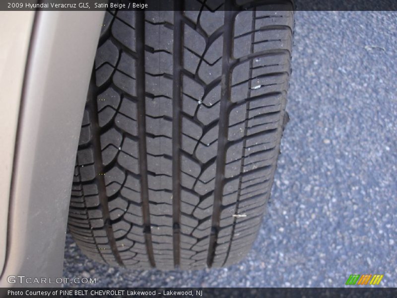 Satin Beige / Beige 2009 Hyundai Veracruz GLS