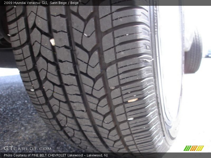 Satin Beige / Beige 2009 Hyundai Veracruz GLS
