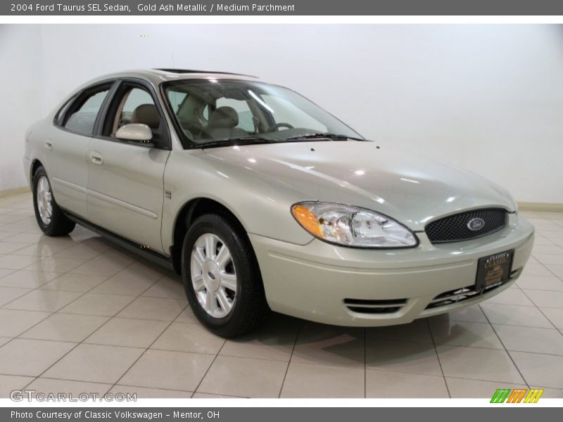 Gold Ash Metallic / Medium Parchment 2004 Ford Taurus SEL Sedan