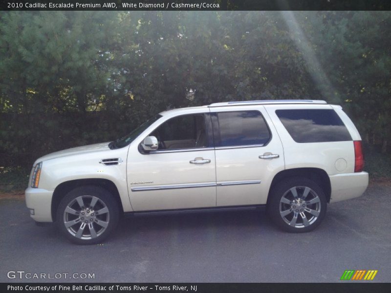 White Diamond / Cashmere/Cocoa 2010 Cadillac Escalade Premium AWD