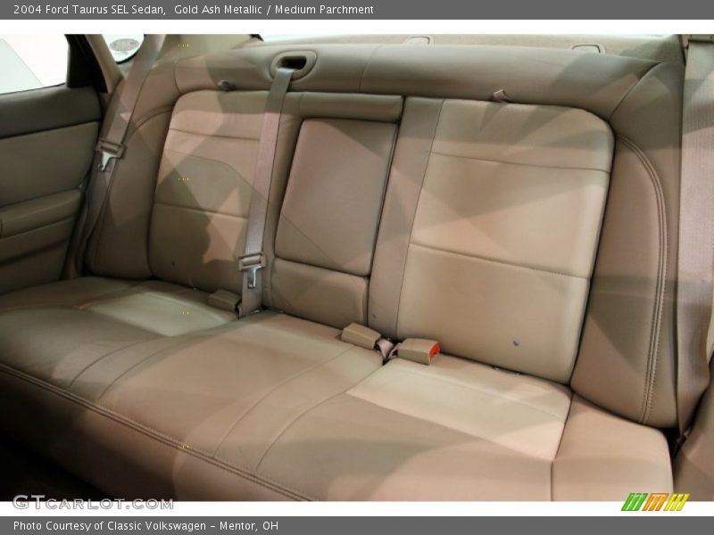 Gold Ash Metallic / Medium Parchment 2004 Ford Taurus SEL Sedan