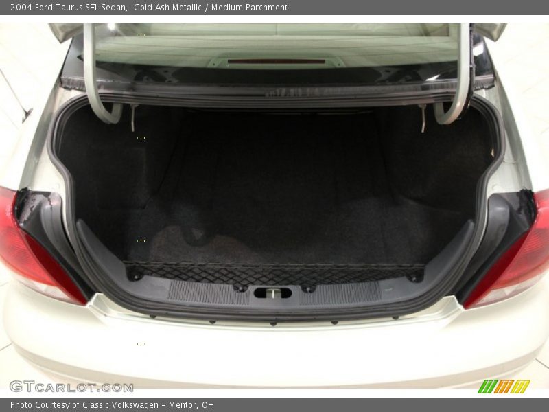 Gold Ash Metallic / Medium Parchment 2004 Ford Taurus SEL Sedan