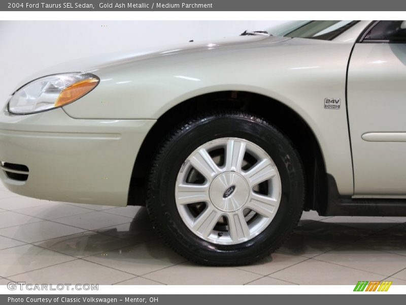 Gold Ash Metallic / Medium Parchment 2004 Ford Taurus SEL Sedan