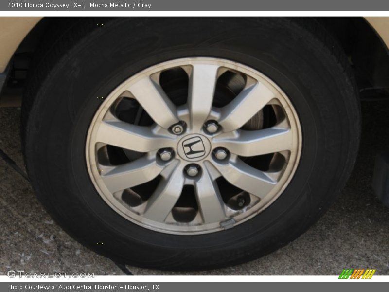 Mocha Metallic / Gray 2010 Honda Odyssey EX-L