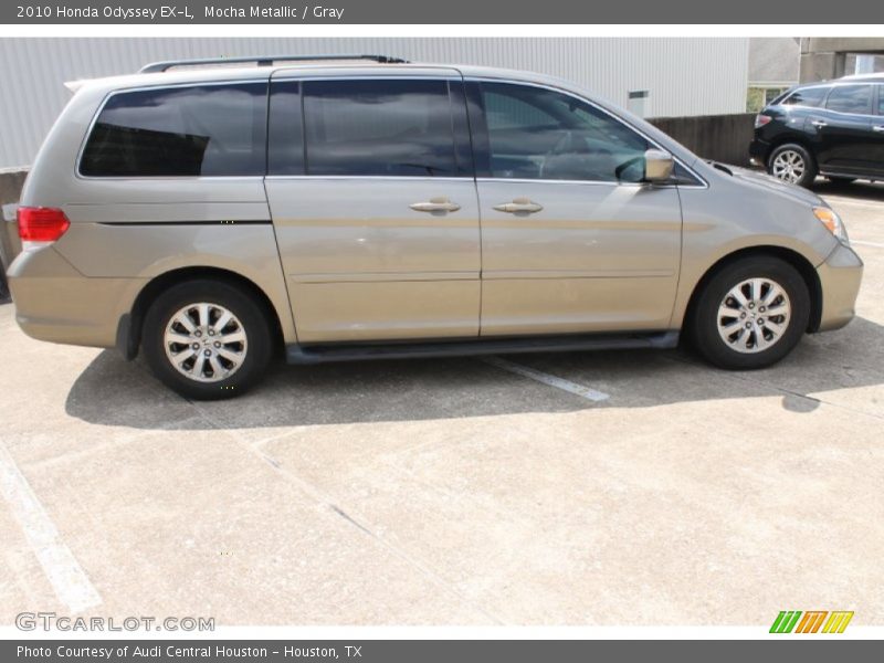 Mocha Metallic / Gray 2010 Honda Odyssey EX-L