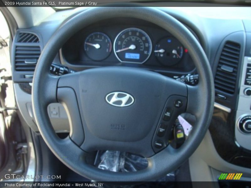 Platinum Sage / Gray 2009 Hyundai Santa Fe GLS
