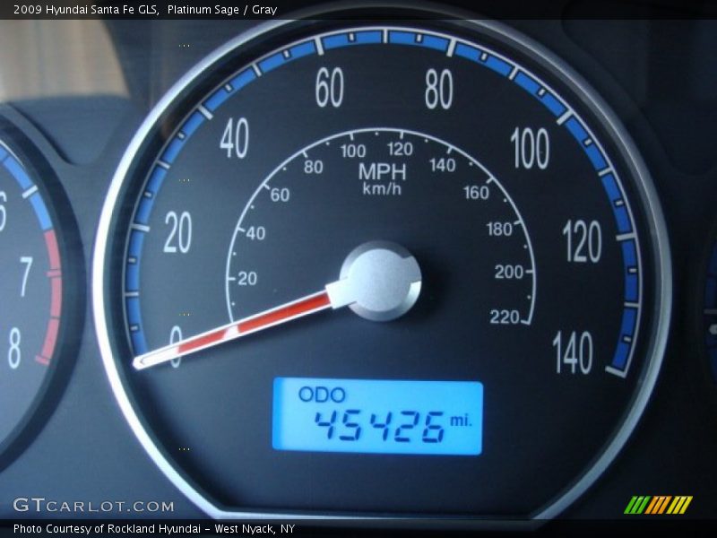 Platinum Sage / Gray 2009 Hyundai Santa Fe GLS