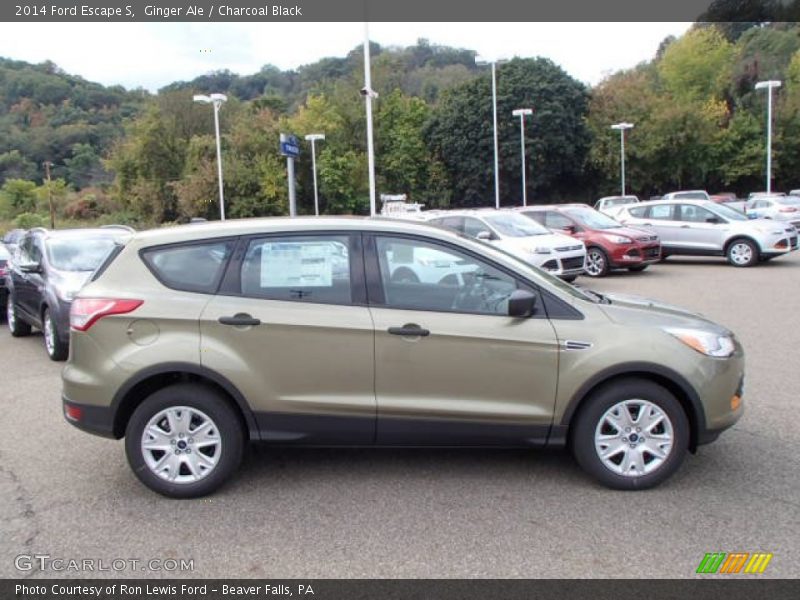 Ginger Ale / Charcoal Black 2014 Ford Escape S