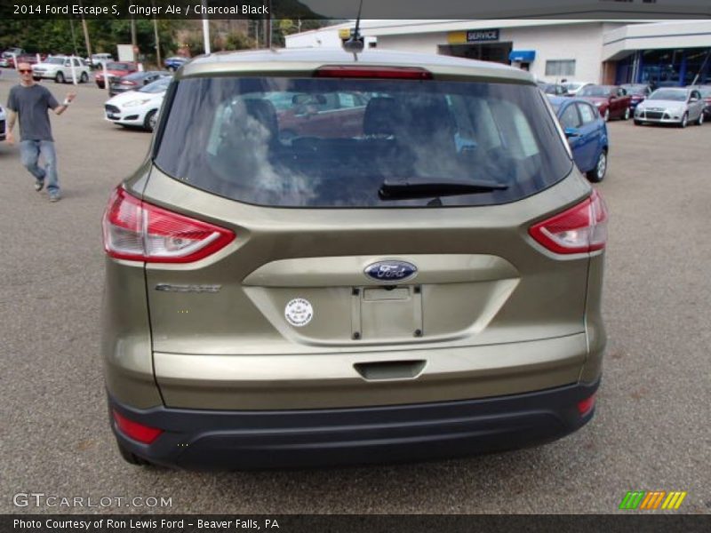 Ginger Ale / Charcoal Black 2014 Ford Escape S
