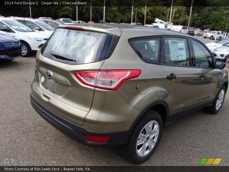 Ginger Ale / Charcoal Black 2014 Ford Escape S
