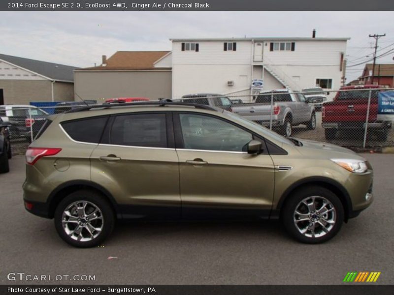  2014 Escape SE 2.0L EcoBoost 4WD Ginger Ale