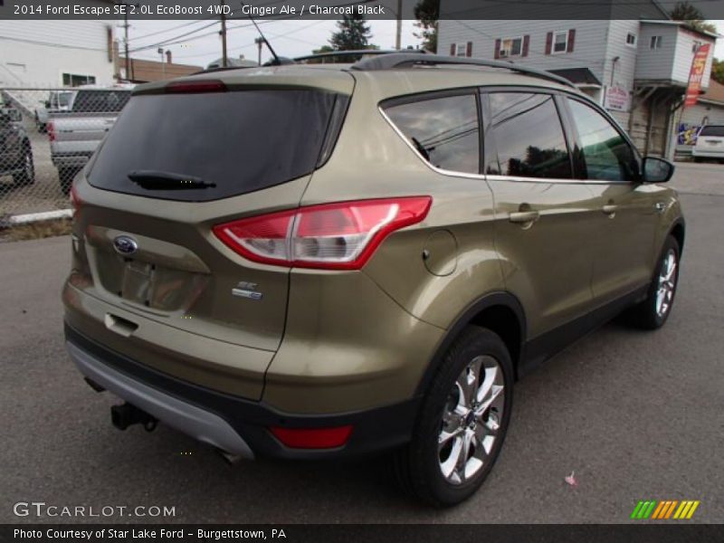 Ginger Ale / Charcoal Black 2014 Ford Escape SE 2.0L EcoBoost 4WD