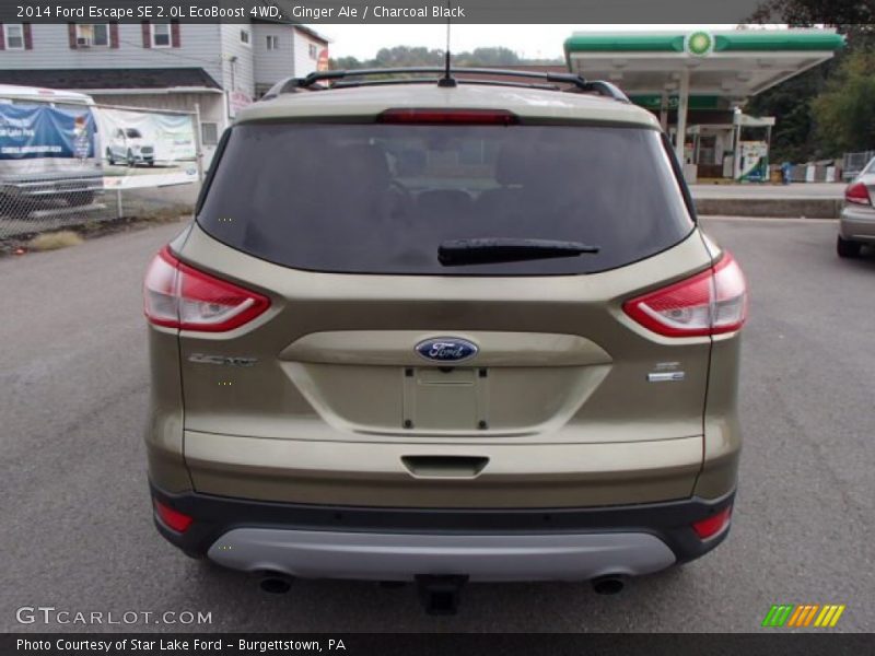 Ginger Ale / Charcoal Black 2014 Ford Escape SE 2.0L EcoBoost 4WD