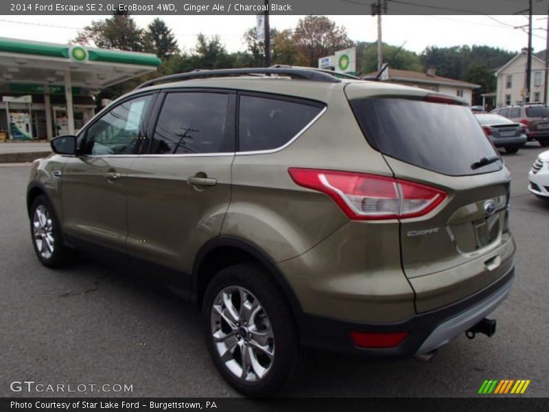 Ginger Ale / Charcoal Black 2014 Ford Escape SE 2.0L EcoBoost 4WD