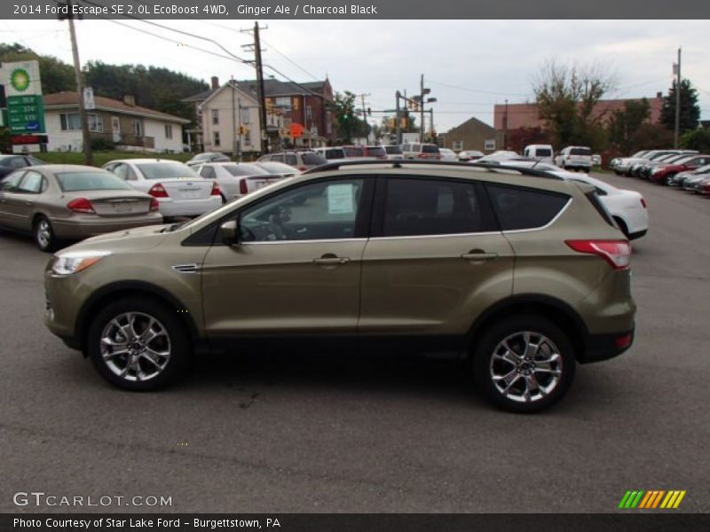 Ginger Ale / Charcoal Black 2014 Ford Escape SE 2.0L EcoBoost 4WD