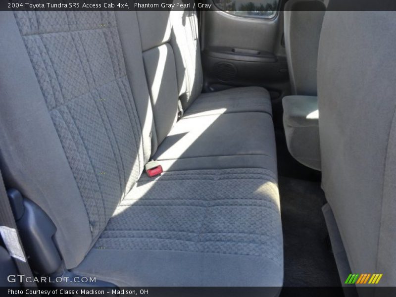 Phantom Gray Pearl / Gray 2004 Toyota Tundra SR5 Access Cab 4x4