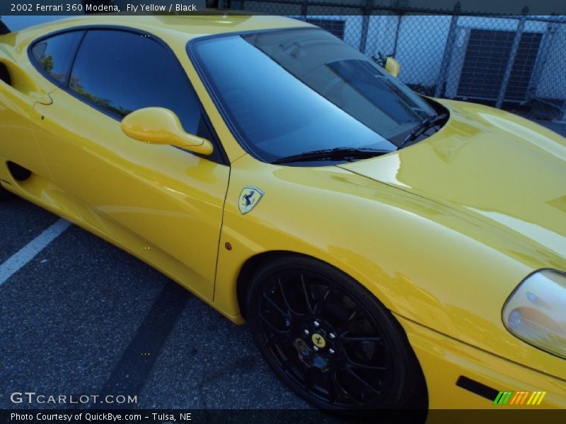 Fly Yellow / Black 2002 Ferrari 360 Modena