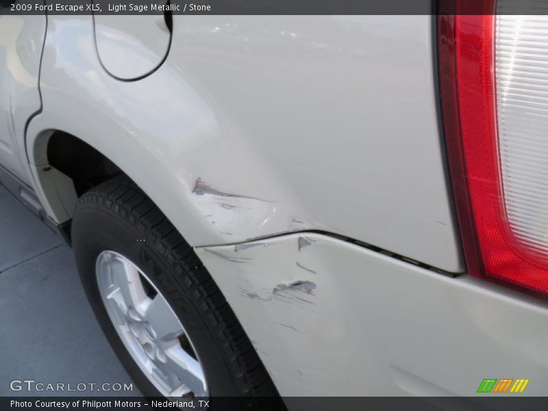 Light Sage Metallic / Stone 2009 Ford Escape XLS