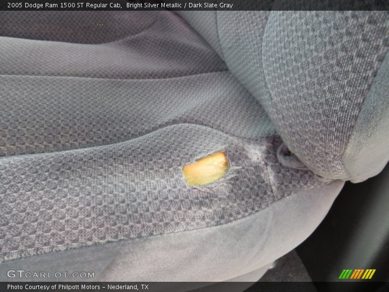 Bright Silver Metallic / Dark Slate Gray 2005 Dodge Ram 1500 ST Regular Cab