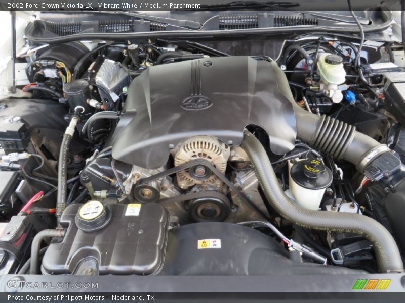 Vibrant White / Medium Parchment 2002 Ford Crown Victoria LX