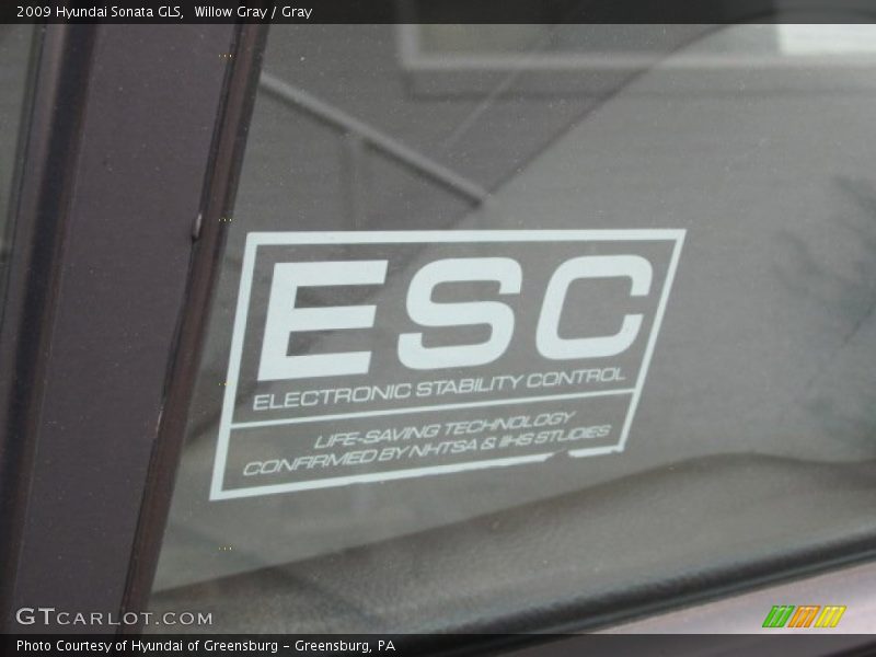 Willow Gray / Gray 2009 Hyundai Sonata GLS