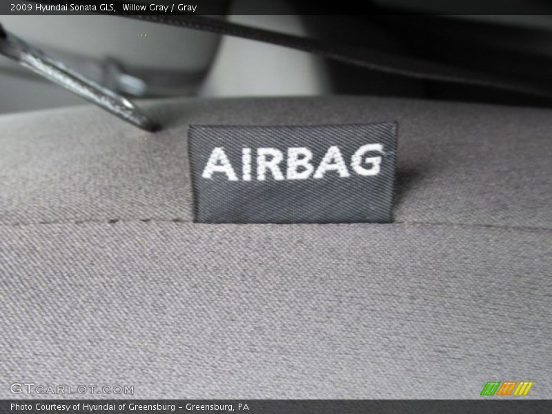 Willow Gray / Gray 2009 Hyundai Sonata GLS