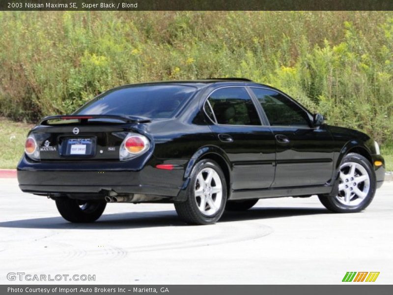 Super Black / Blond 2003 Nissan Maxima SE