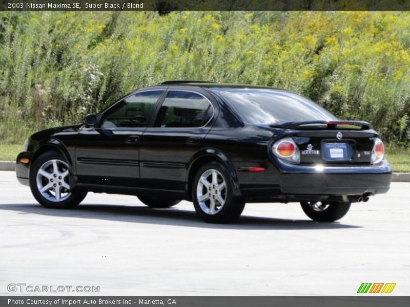 Super Black / Blond 2003 Nissan Maxima SE