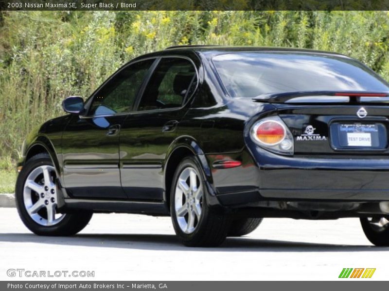Super Black / Blond 2003 Nissan Maxima SE