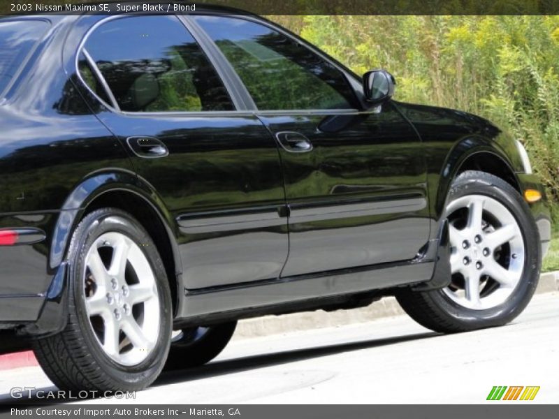 Super Black / Blond 2003 Nissan Maxima SE