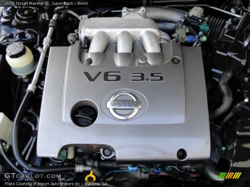 Super Black / Blond 2003 Nissan Maxima SE