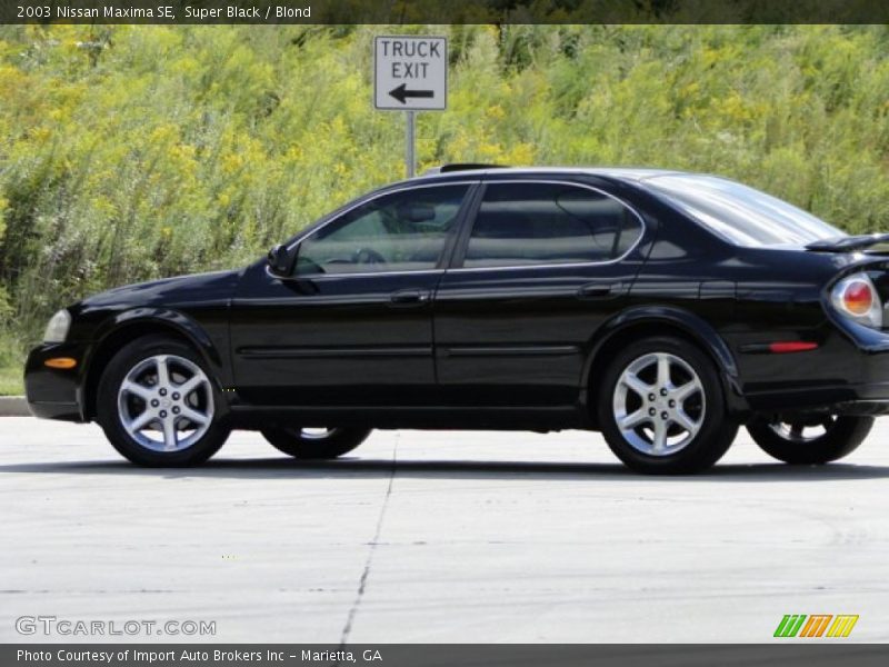Super Black / Blond 2003 Nissan Maxima SE
